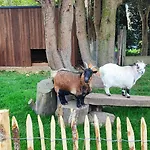 Charles Cabour Bed & Breakfast