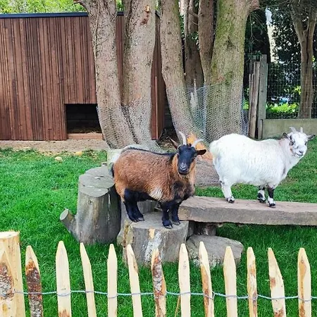 Charles Cabour Nocleg ze śniadaniem