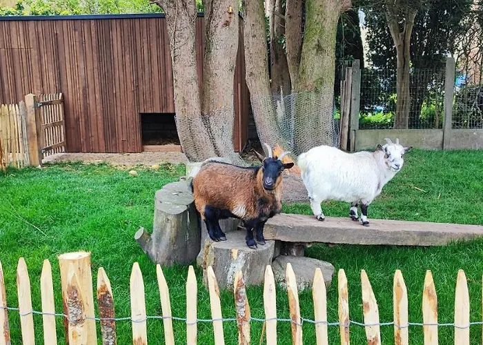 Charles Cabour Bed & Breakfast